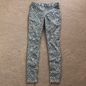Hue Leggings